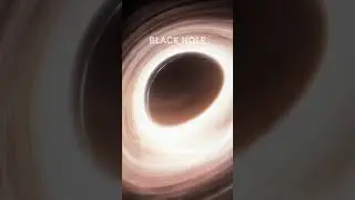 Black Hole and White Hole