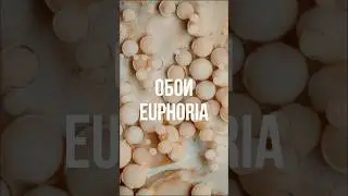 Ощути настоящий восторг от коллекции Euphoria
