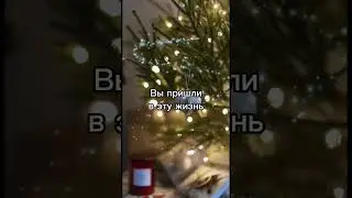 День сурка или Много хотите- МНОГО ПОЛУЧИТЕ