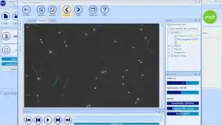 SCA Motility and concentration - CASA System SCA Evolution (Human Edition)