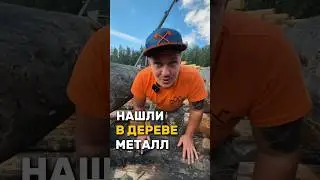 НАШЛИ В ДЕРЕВЕ МЕТАЛЛ!