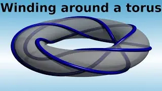 What are...torus knots?