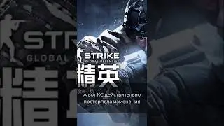 🤫Как выглядит китайская CS:GO?