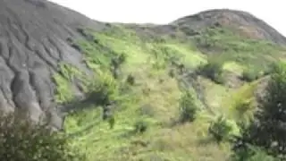 MVI 3444