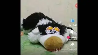 Песня 🎧 Чёрная Кошечка ✔️