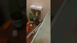 НЕЖДАННО НЕГАДАННО А ОНИ ВЫЛЕЗЛИ 🐤🐤🐤🐤🐤🐤