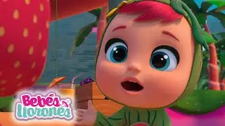 MENUDA SORPRESA 🍑🍇 BEBÉS LLORONES 💦 LÁGRIMAS MÁGICAS 💕 CAPÍTULOS Completos en Español