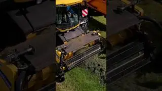 Chopping Grass #newholland #masseyferguson #grass #shorts #harvest #tractor #farming #subscribe #dji
