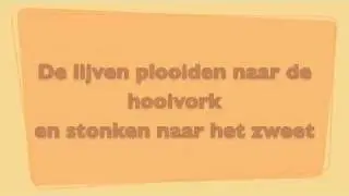 Wim De Craene - Tim lyrics