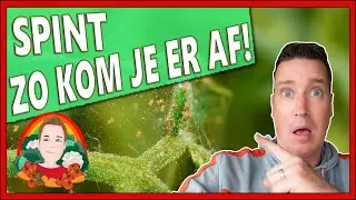 SPINT BESTRIJDEN 100% SUCCES | Moestuin vlog 158 | spint behandelen, spint herkennen