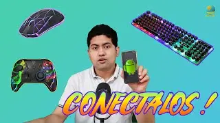 Conectar un Ratón, Teclado o Control de Xbox a tu Teléfono Android.