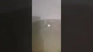 штучка плавает
