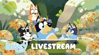 🔴 LIVE: Bluey Fun Marathon!