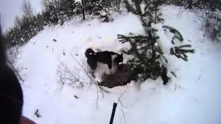 Подход к Таиру