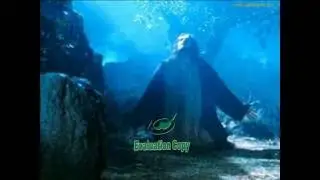 you_needed_me.wmv