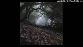 ✢FREE✢ grunge trap x alt x ambient dark guitar type beat - "cold world" (prod. @d1e_amy)