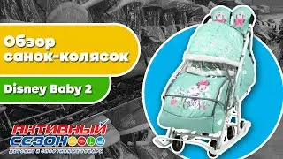 Обзор санок-колясок Ника Детям Disney Baby 2