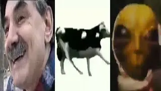 СБОРКА МЕМОВ 2020 (оригиналы) (ДА Я Ж ПОШУТИЛ, ПОЛЬСКАЯ КОРОВА, ПРИШЕЛЕЦ ФЛЕКСИТ)