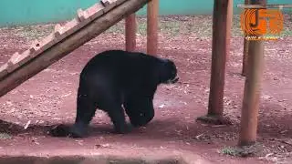 Zoológico de Ribeirão Preto/SP
