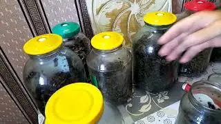 ГАБа чай из листьев хрена и других.