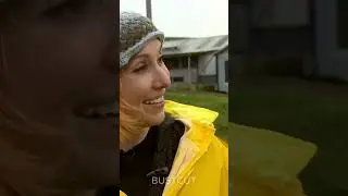 Реактор на навозе  