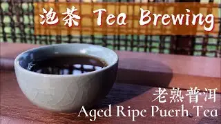 老熟普洱 Aged Ripe Puerh Tea｜茶藝泡茶 Tea Brewing ｜TEA APAGE