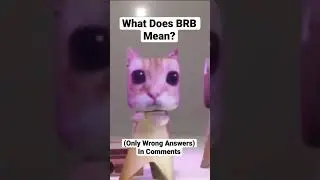 what does BRB mean? wrong answers only . #memes