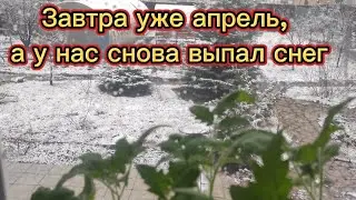 Снова похолодало🌨Зима не сдается😊