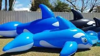 Inflatable Whale Comparison