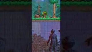 ...#террария #shorts #terraria #триада