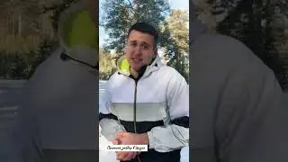 17 ноября 2023 г.