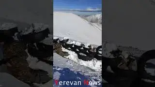 Աստված ձեզ պահապան, տղերք ջան 