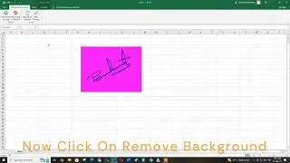 How To Remove Image Background in Excel