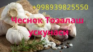 Чеснок тозалаш ! 