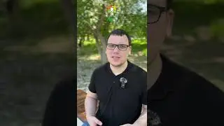 #зависимость #психология # #реабилитация #игромания #синтетика #мяу