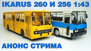 ИКАРУС 260 и 256 