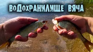 FEEDER FISHING on the Vyacha Reservoir. Fishing 2023 in Belarus