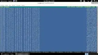 Ejecutar Chromium modo root en Kali Linux
