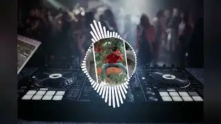 Teri gelya jina se gelya mar jaugi  full song haryanvi..dj