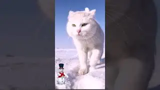 На прогулке 😃👍Смешные видео 2021 😁новинки 2021
