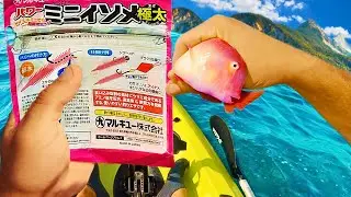 THIS 1 Lure Will Catch Everything!