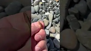 Древняя монета. 🪙 примерно 5 век до н.э.