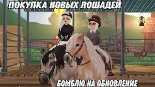 Star Stable|Покупка лошадок|ИНТЕРФЕЙС НЕ ПОНРАВИЛСЯ?|