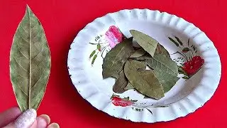 Эта СПЕЦИЯ даст прилив мужской силы. НЕОБЫЧНЫЙ способ использования.