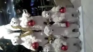 Миш