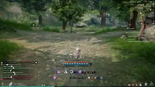 Blade and Soul Для новичков...от новичка. С самого начала))) #3