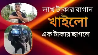 ছাগল যখন আমারে ছাগল বানায় 😁😁😁