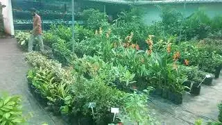 Mukkam Agro Farm മുക്കം അഗ്രോ ഫാം കാഴ്ചകൾ 👌👌