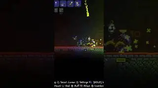 Rune Wizard and Mimic attack | #terraria | get fixed boi | #gaming