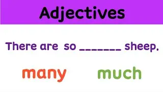 [Adjectives] Many or Much English Grammar Quiz -25 Questions